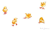 Original - Little Chicks